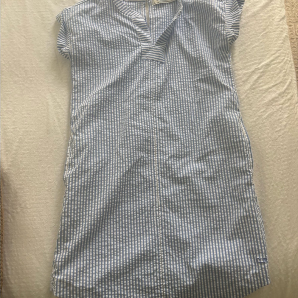 Blue Striped Dress